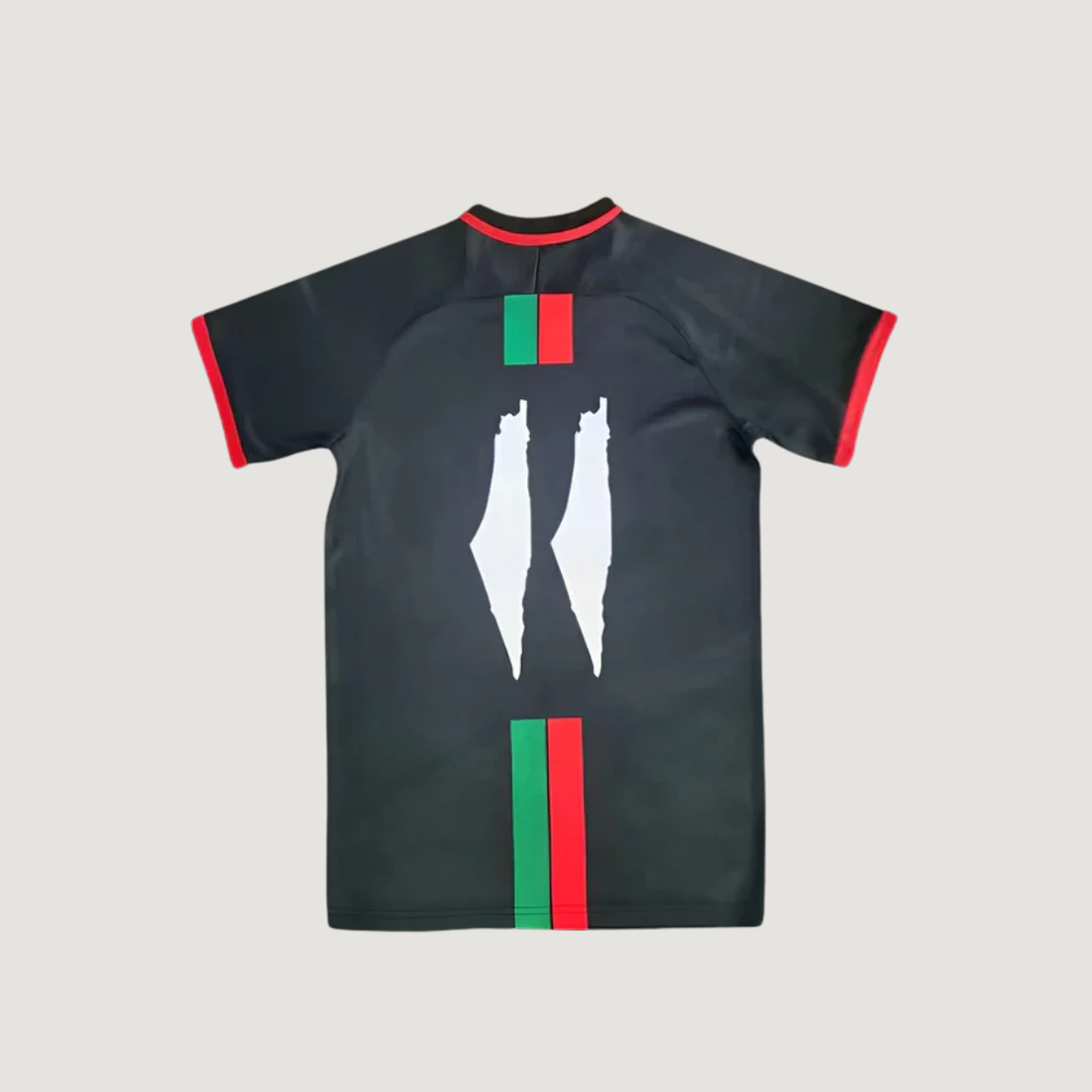 FC Palestine – Maillot Édition Spéciale 2023-2024 – Noir, Rouge, Vert, Blanc
