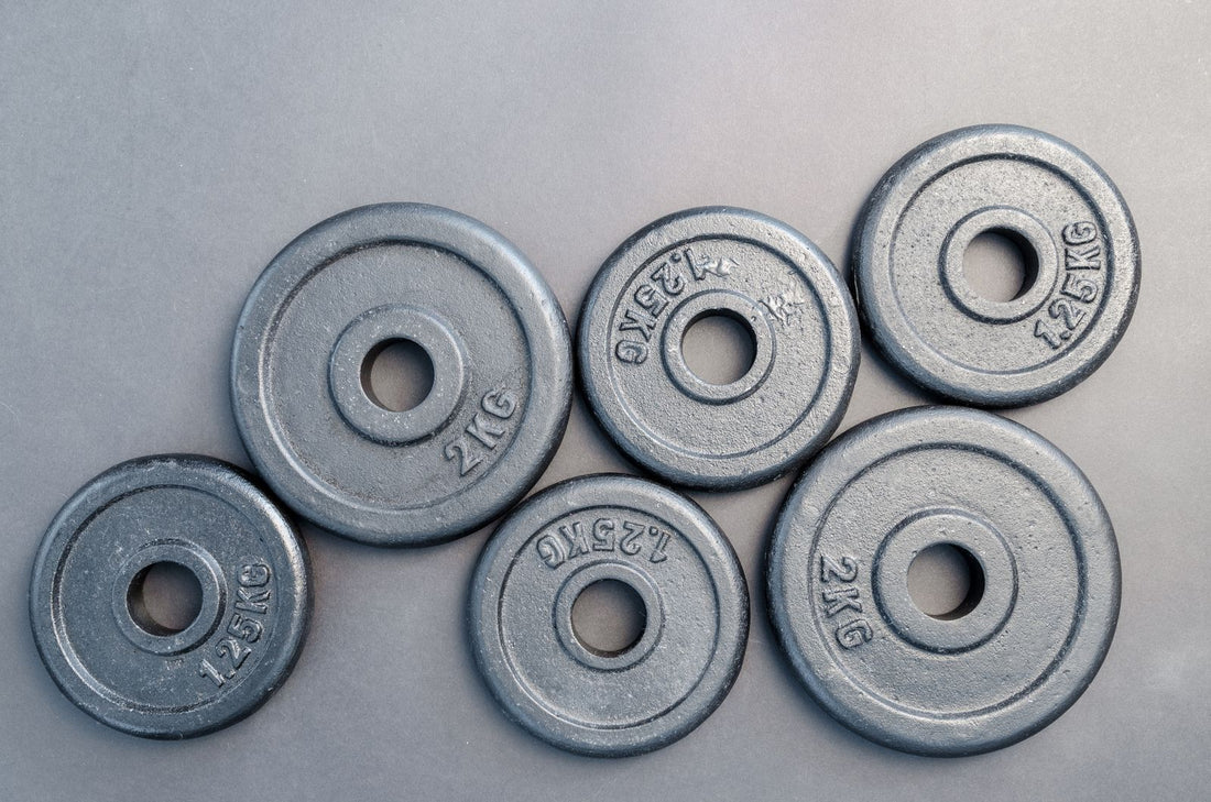 Paire de disques fonte